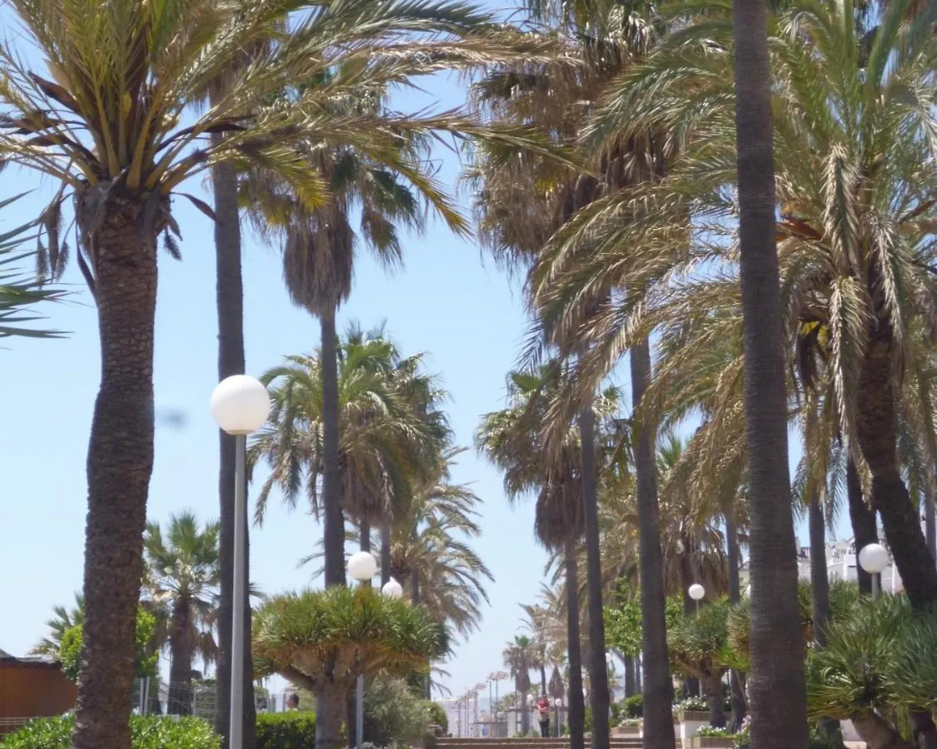 Apartment 2066-Apt 2 Bedrooms On Beach, Tenis, Gym, Pool Manilva